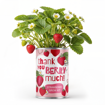 Thank You Berry Much! – Strawberry Grow Kit Gift — A Little Pick-Me-Up at Memento Belfast