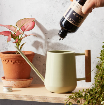 Pots & Accessories