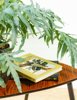 Books & Prints