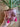 Boobie Standing Planter - Pink