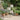 Beige Planter Set