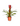 Bromeliad