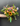 Seasonal Stunner Bouquet | Sat 12th Sept, 5.30pm | Memento Store