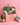 Mystery Gift Box