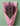 Bunch’d: Dried Lavender