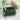 Herb Garden Rosemary Soap Bar