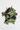 Tradescantia