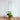 Golden Plant Stake – Pin