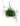 Hanging Rhipsalis