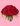 50 Red Roses 'Scent with Love'