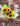 Bunch'd: Sunflowers