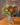 Bouquet of the Month