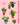 Plant Killer Bundle