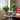 Green Stripe Pot