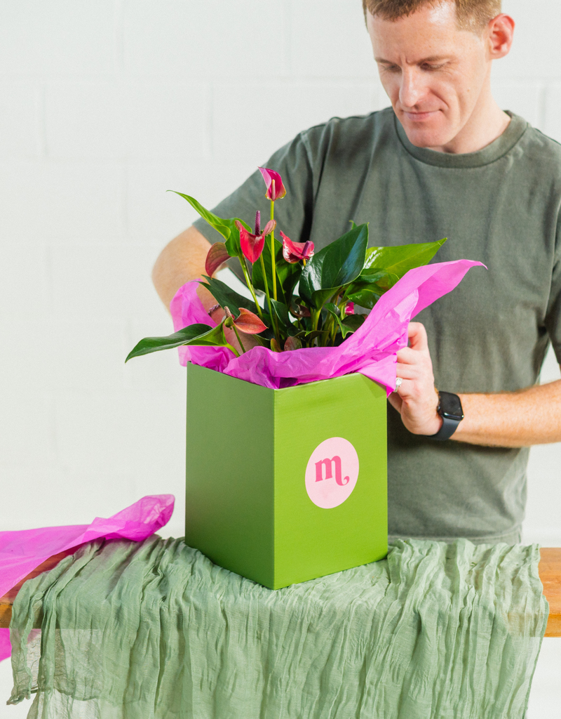 Holding image for branded candles — replace with your project photo