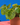 Pilea ‘Mojito’ – Memento Belfast houseplant product photo 3