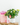 Hydrangea Planter – Memento Belfast plant product photo 2