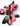 Philodendron Pink Princess