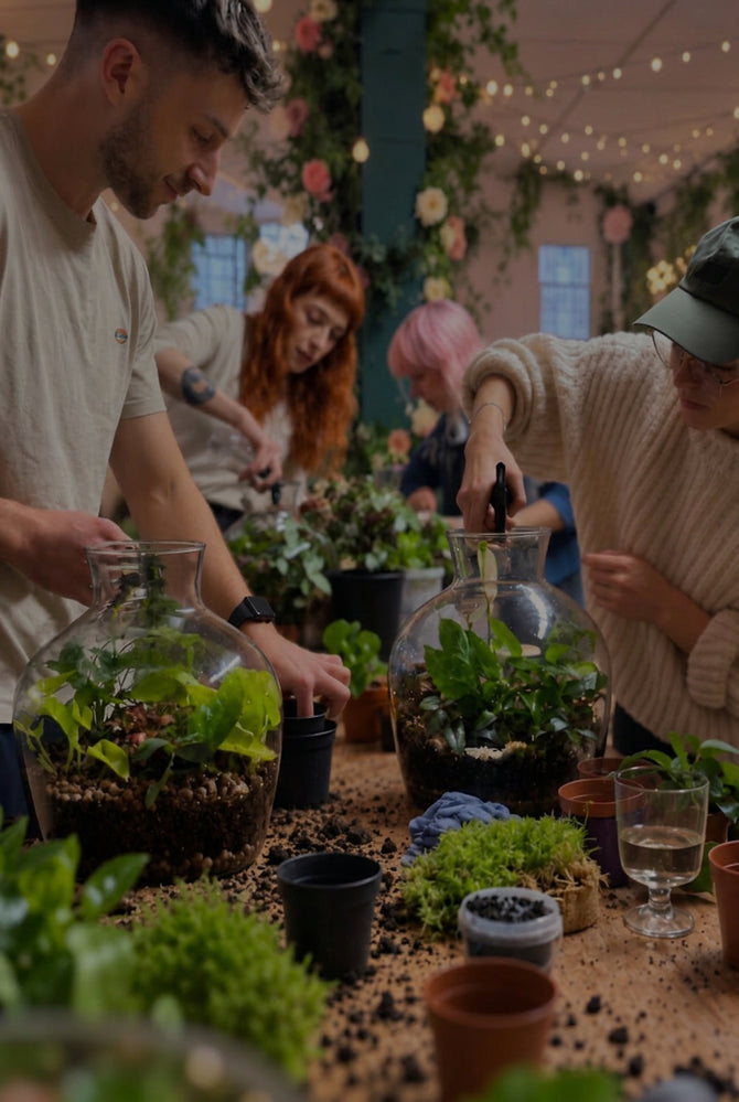 Several people are gathered around a table arranging small plants in clear glass terrariums and pots. The scene is indoors with warm string lights, floral decorations, and a cozy workshop-like atmosphere.