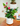 Anthurium Planter