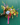 Secret Garden