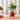 Red Scallop Planter with Stand