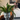Wake up sleepy plants!