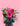 V-Day Guide!
