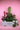 Festive Gift Guide 🎄