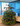 <h6>Deck the Halls of your Home: Festive Floral Gifting