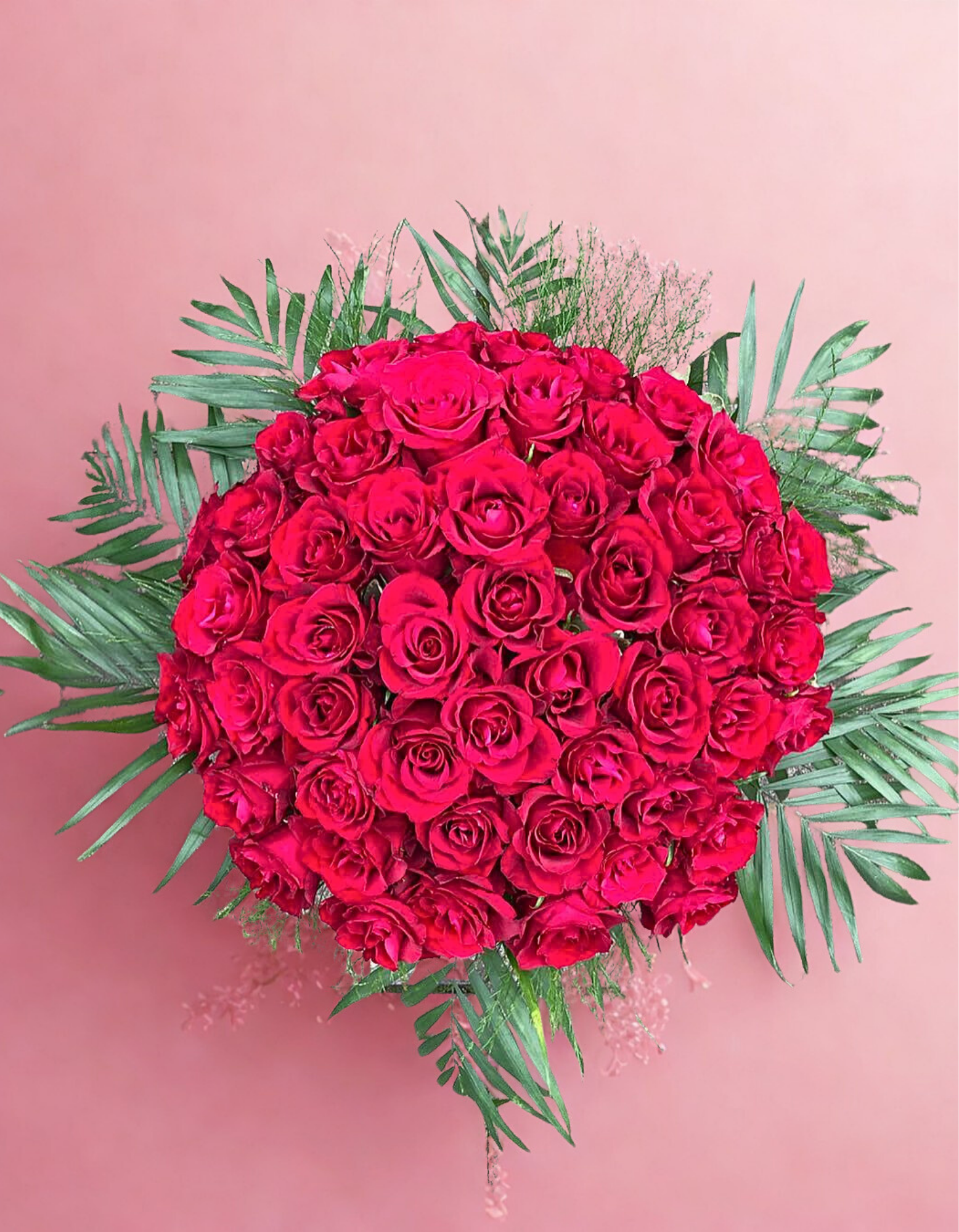 1001 Red Roses 100 Red Roses 'Scent with Love' – Memento Belfast