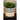 Jada Large Striped Planter