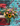 Seasonal Stunner Bouquet | Sat, Sept 12th | Memento