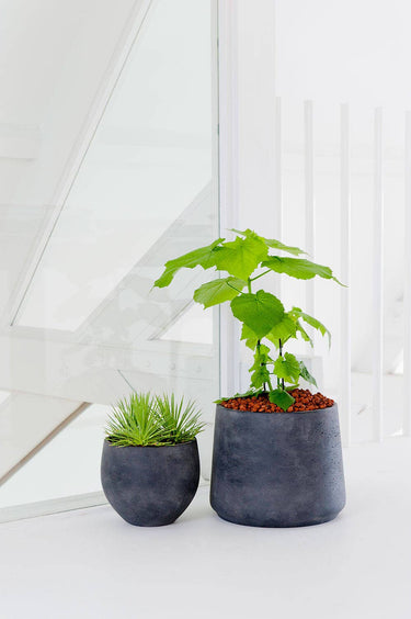 Patt Planter in Black Washed
