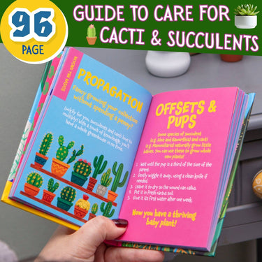 Prickly Guide to Caring for Cacti & Succulents