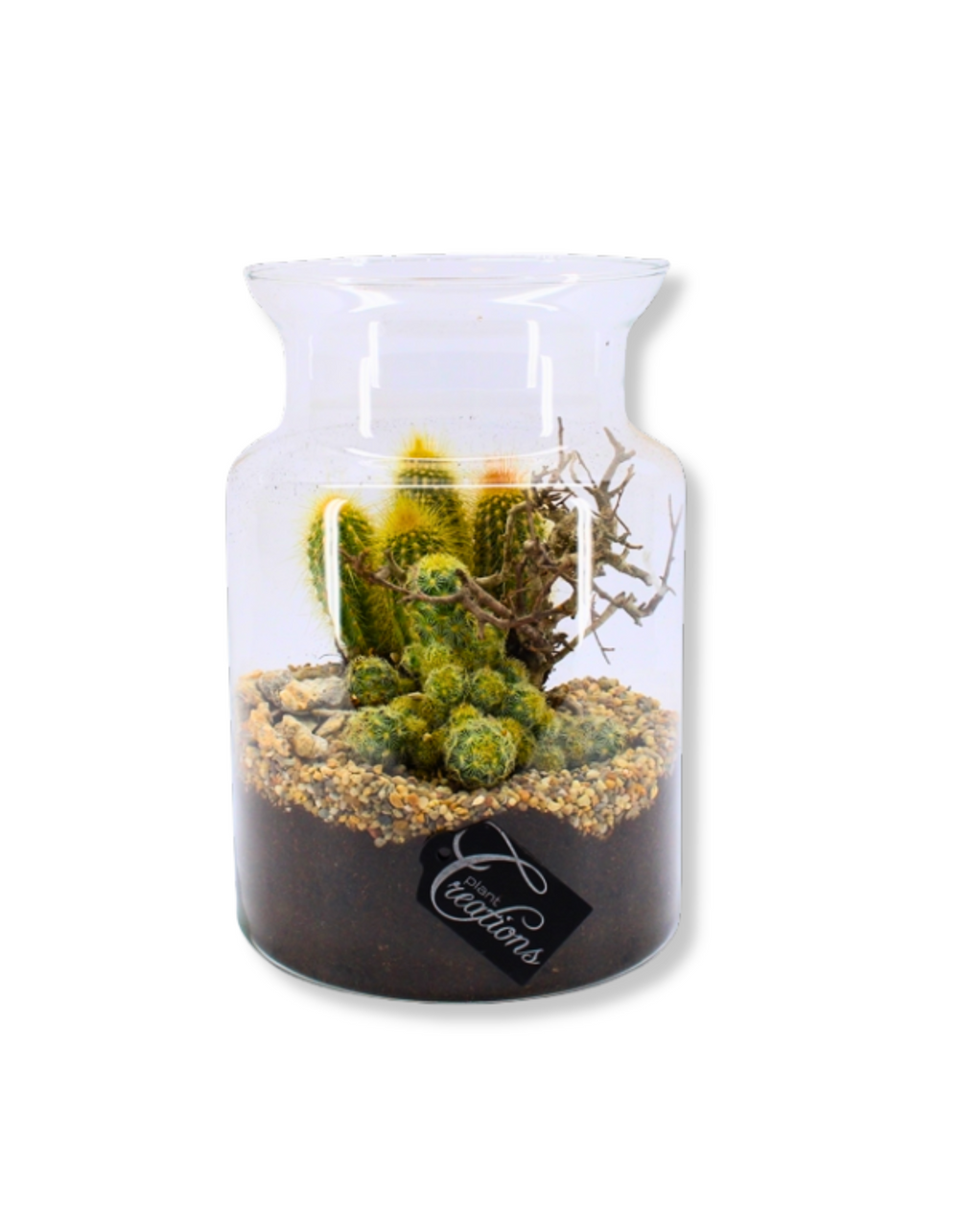 Desert Terrarium