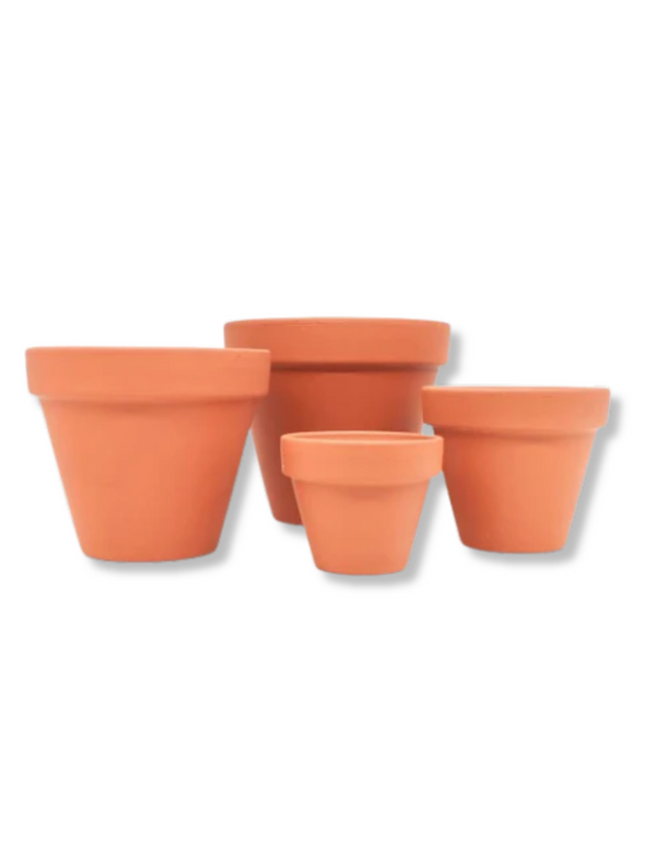 Terracotta Plant Pot