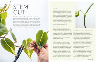 The Propagation Handbook