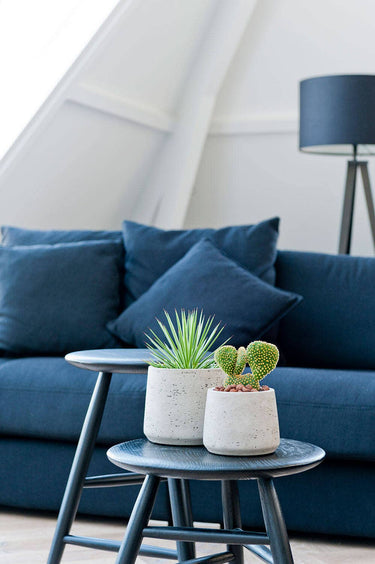 Patt Pot in Grey Washed