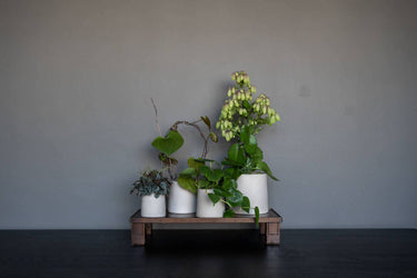 Sofia Pot in Vanilla White
