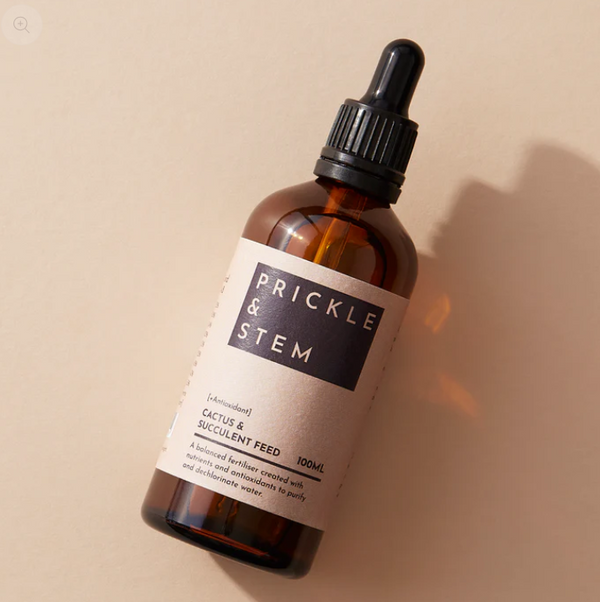 Cactus & Succulent Feed + Antioxidant