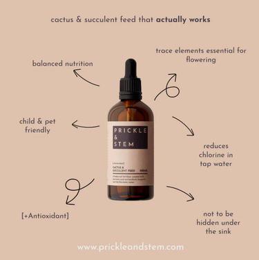 Cactus & Succulent Feed + Antioxidant