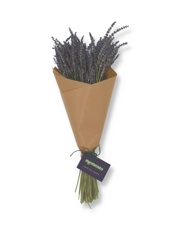 Bunch’d: Dried Lavender