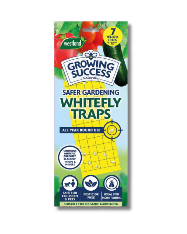 Growing Success Whitefly Traps
