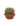 Barrel Cactus – Memento Belfast houseplant product photo 1