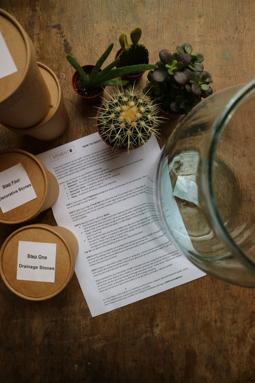DIY Terrarium Kit