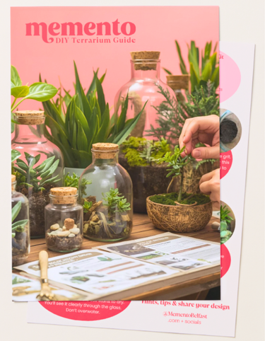 DIY Terrarium Kit