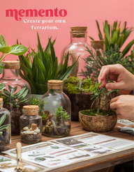 DIY Terrarium Kit