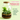 Build a Terrarium