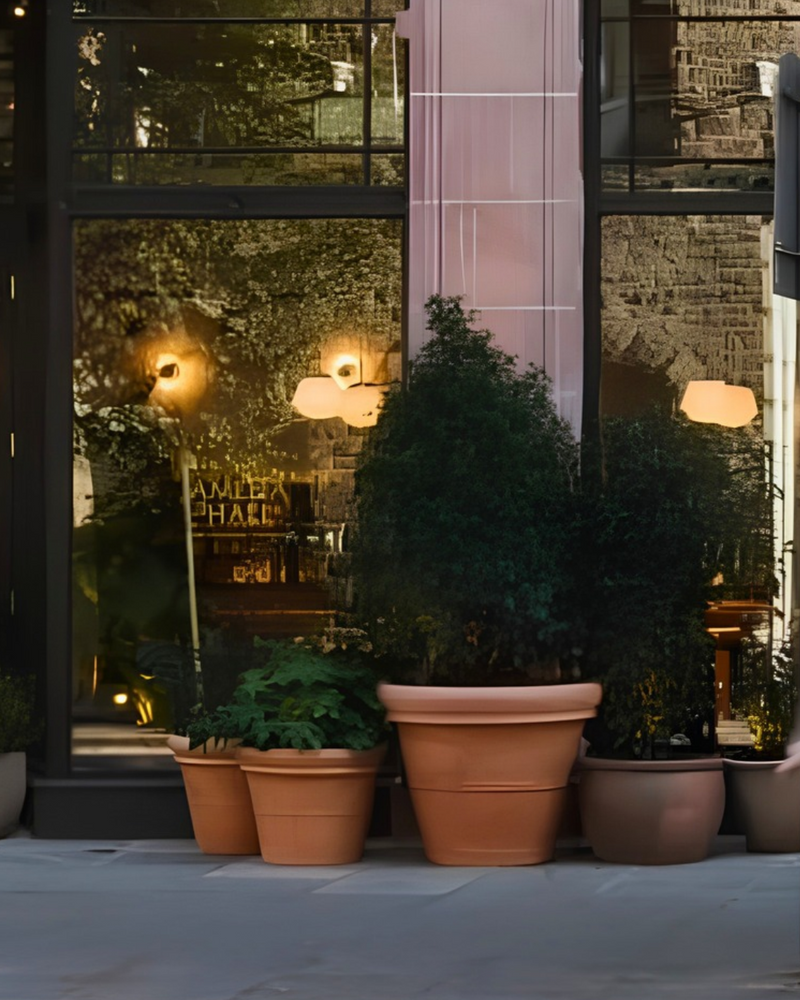 Holding image for plants for a home — replace with your project photo